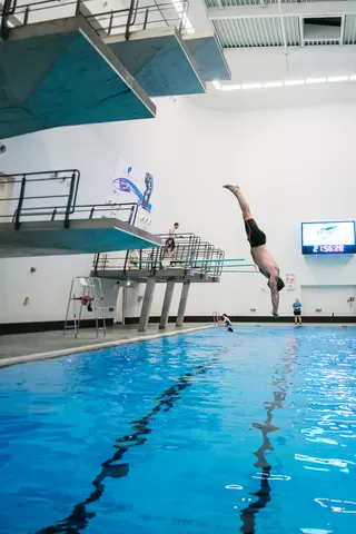 ASV 150217 Adult Learn to Dive 041