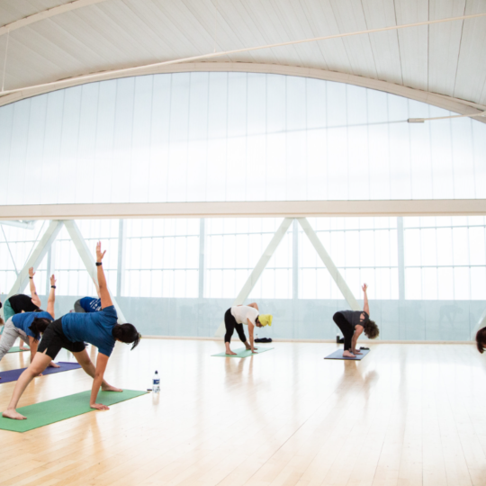 Sky studio stretch